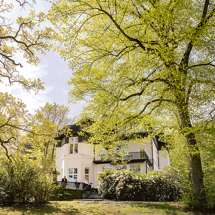 Het mare-Künstlerhaus tussen bomen die vol in blad staan.